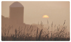 DNSEMP-C-334-BZ Harvest Sunrise Bronze